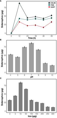 Microbial interaction-induced siderophore dynamics lead to phenotypic differentiation of Staphylococcus aureus